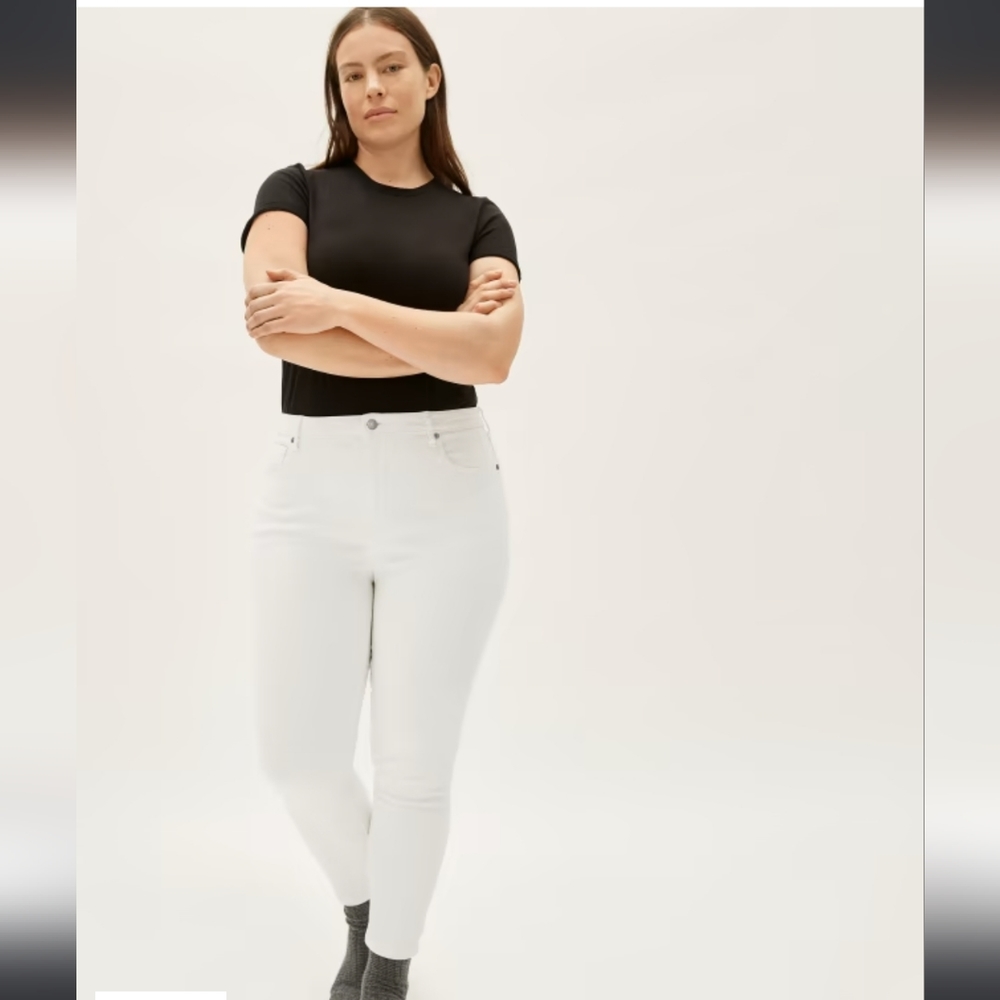 Everlane Curvy High Rise Skinny 26